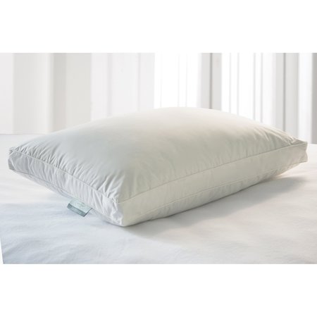 KATHY IRELAND 240TC Unbleached Hybrid Blend Pillow with 2'' Gusset, Jumbo, Single KI201022